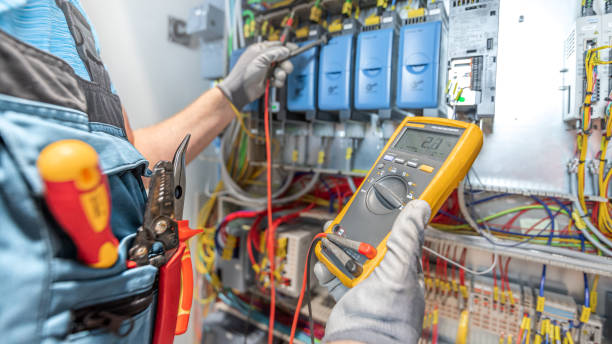 Best Electric Panel Repair  in Dunean, SC